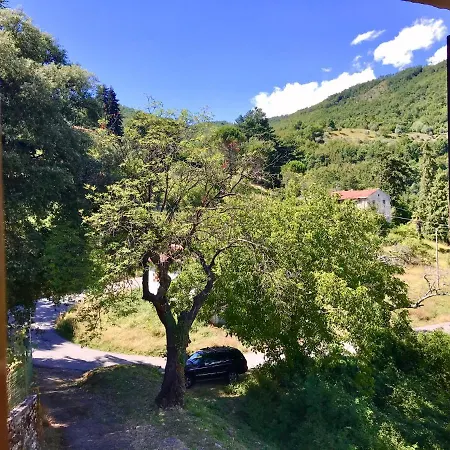 The Dormouse - Il Ghiro *