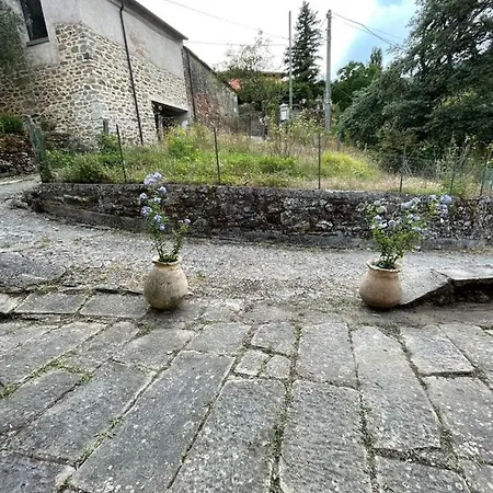 Tatil Evi The Dormouse - Il Ghiro *