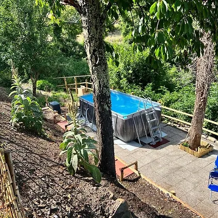 The Dormouse - Il Ghiro * Rensa