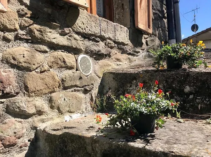 The Dormouse - Il Ghiro Rensa