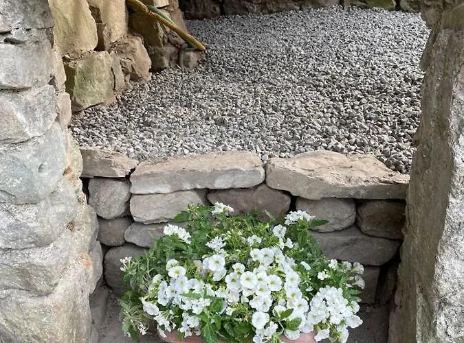 The Dormouse - Il Ghiro Rensa