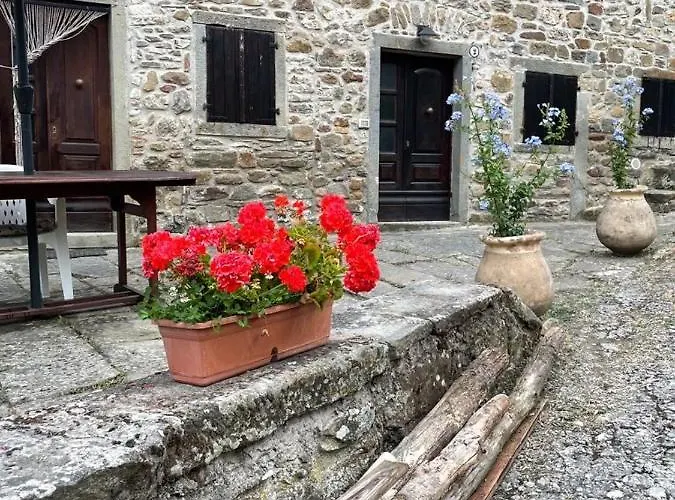 The Dormouse - Il Ghiro * Rensa