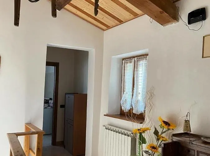 The Dormouse - Il Ghiro Rensa