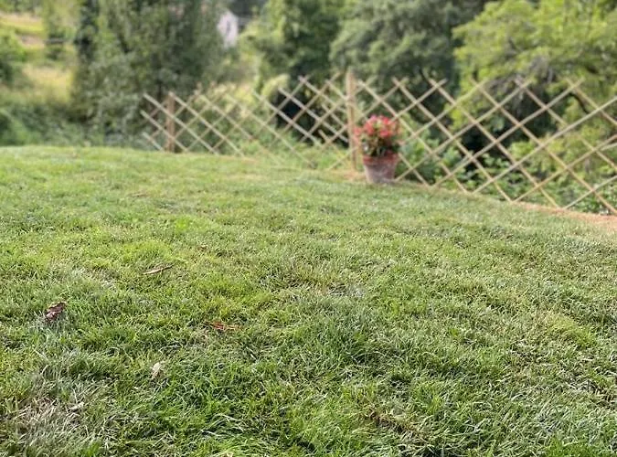 The Dormouse - Il Ghiro * Rensa