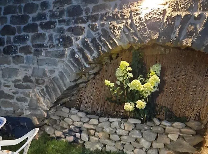 The Dormouse - Il Ghiro