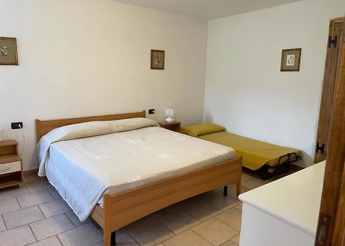 The Dormouse - Il Ghiro